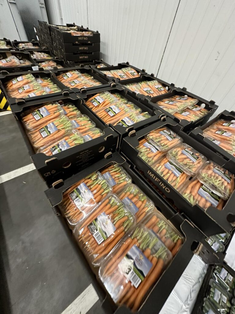 Mitachi Dental Studio