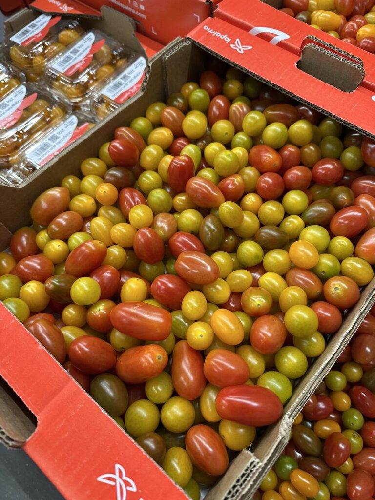 Mitachi Dental Studio