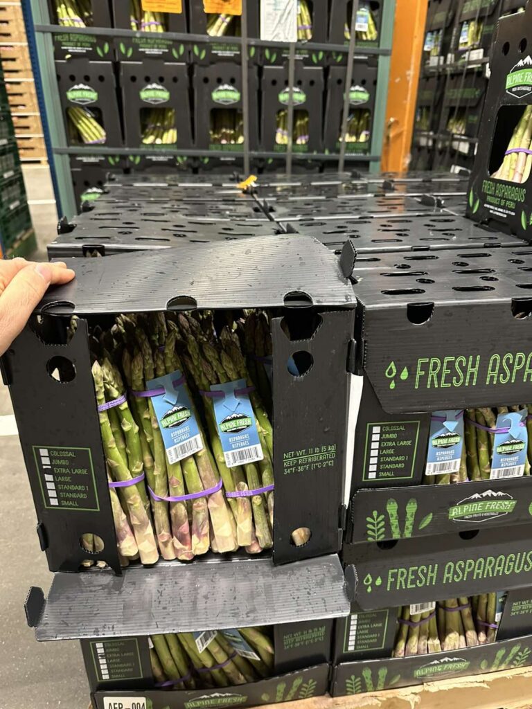 Mitachi Dental Studio